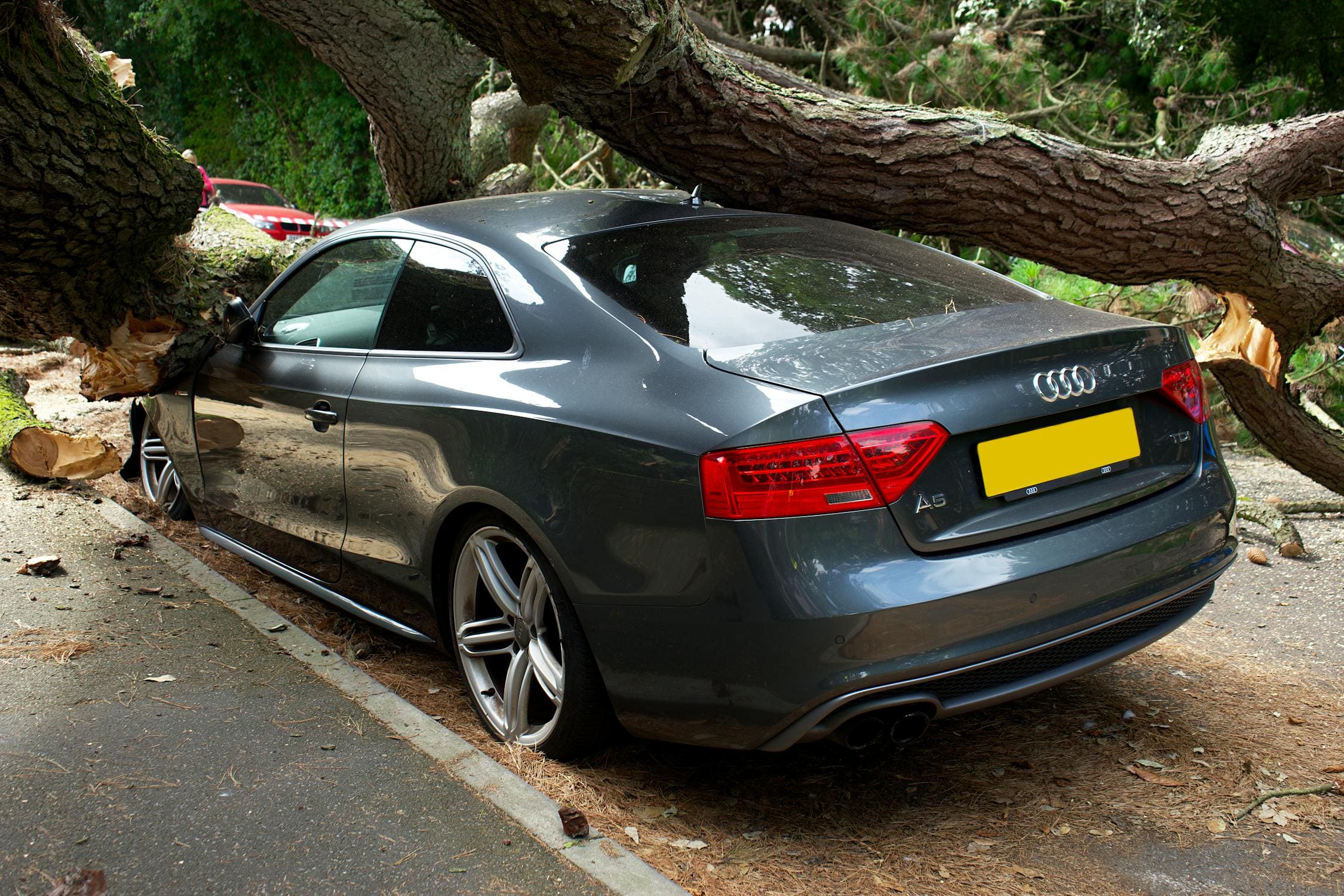 Automobile insurance free quote