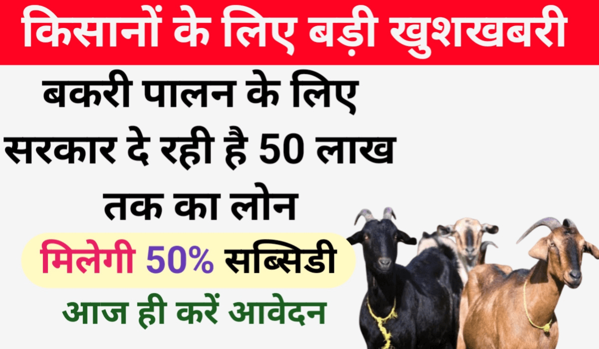 Bakri Palan Loan Yojana